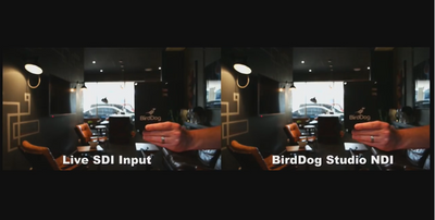 BirdDog Studio NDI - First live video teaser