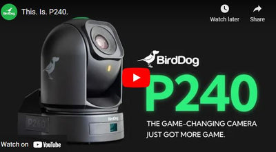 Introducing the BirdDog P240 Full NDI PTZ Camera