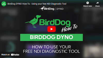 Your Guide to BirdDog DYNO free NDI Diagnostic Tool