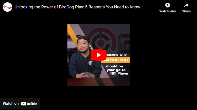 BirdDog PLAY: Top 5 Reasons it's Our Go-To NDI Decoder