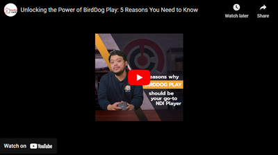 BirdDog PLAY: Top 5 Reasons it's Our Go-To NDI Decoder