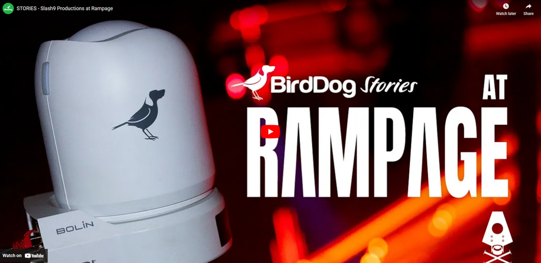 Birddog Full NDI Workflow Alert!