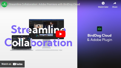 BirdDog Cloud Enables Adobe Premiere Streamlined Collaboration