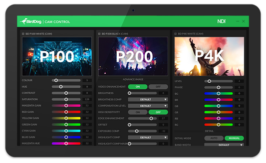 Birddog P200 Tutorial: Advanced Color Tools