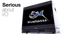 Bluefish 444 talks about 4K, LUTs and the future