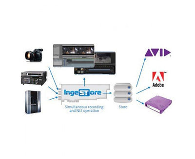 Post Production Studio Reduces Ingest Time with Bluefish444 ingeSTore Software