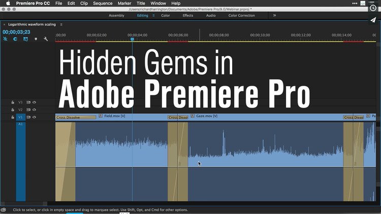 Check Out These Premiere Pro Hidden Gems