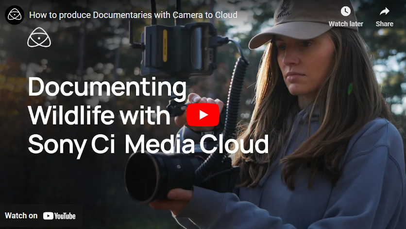 Transforming Wildlife Photography Workflow: A Collaboration with Atomos Ninja Ultra and Sony Ci Media Cloud