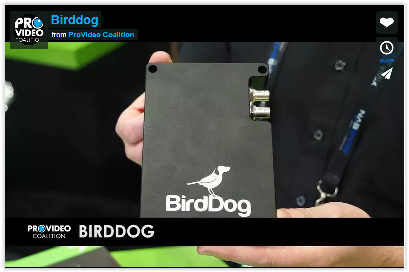 Coming soon! BirdDog HD-SDI/HDMI To NDI Convertor