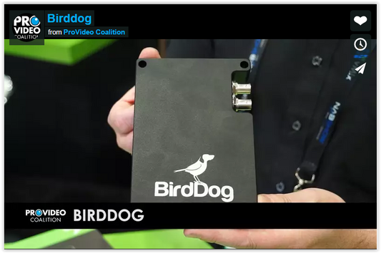 Coming soon! BirdDog HD-SDI/HDMI To NDI Convertor