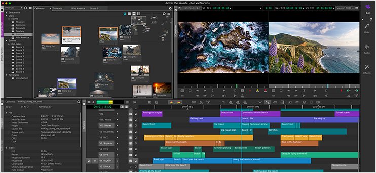 Avid Media Composer 2019: Subscription Options