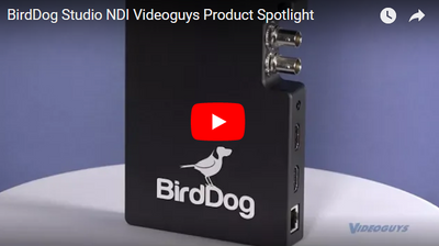 BirdDog Studio NDI Product Spotlight