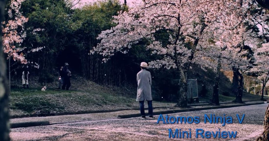 Thoughts on Atomos Ninja V