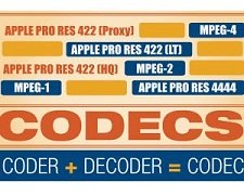 The Current State of Codecs