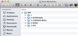 AVID MC ADVANCED TIP-ORGANIZING MEDIA