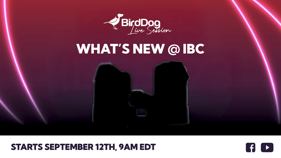 BirdDog XL Ultra and O4: Next-Gen PTZ Cameras Redefining Indoor and Outdoor Production