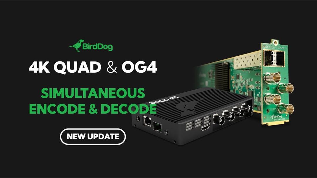 BirdDog 4K QUAD and OG4 get Simultaneous NDI Encode and Decode