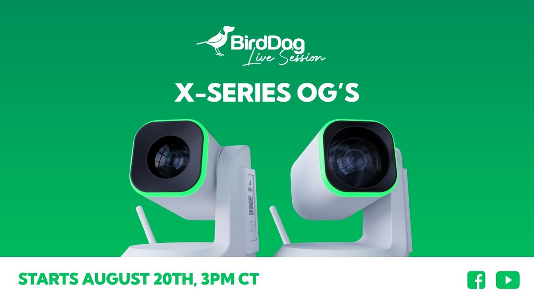 Discover the Power of BirdDog X-Series Cameras
