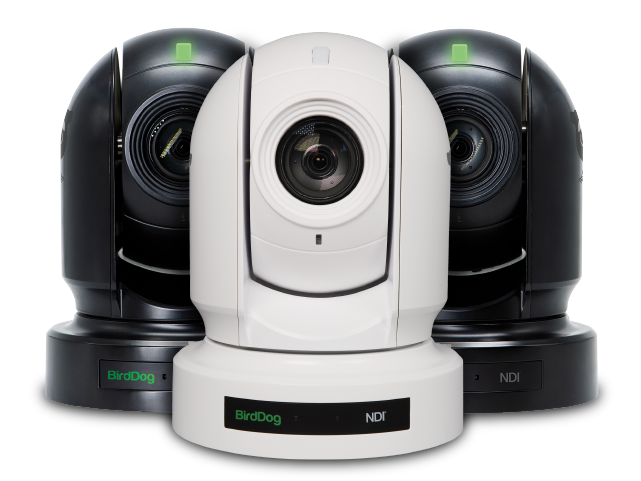 BirdDog NDI Workflows Help Creators Save Money