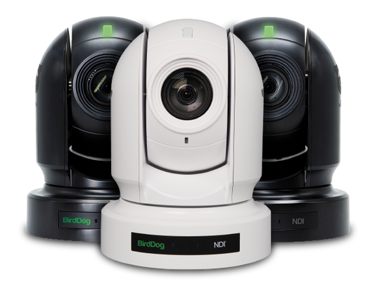 BirdDog NDI Workflows Help Creators Save Money