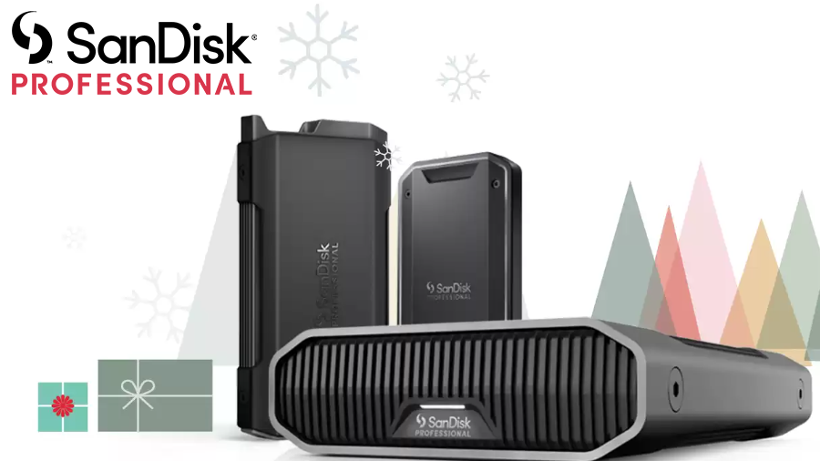 SanDisk Professional Black Friday Specials