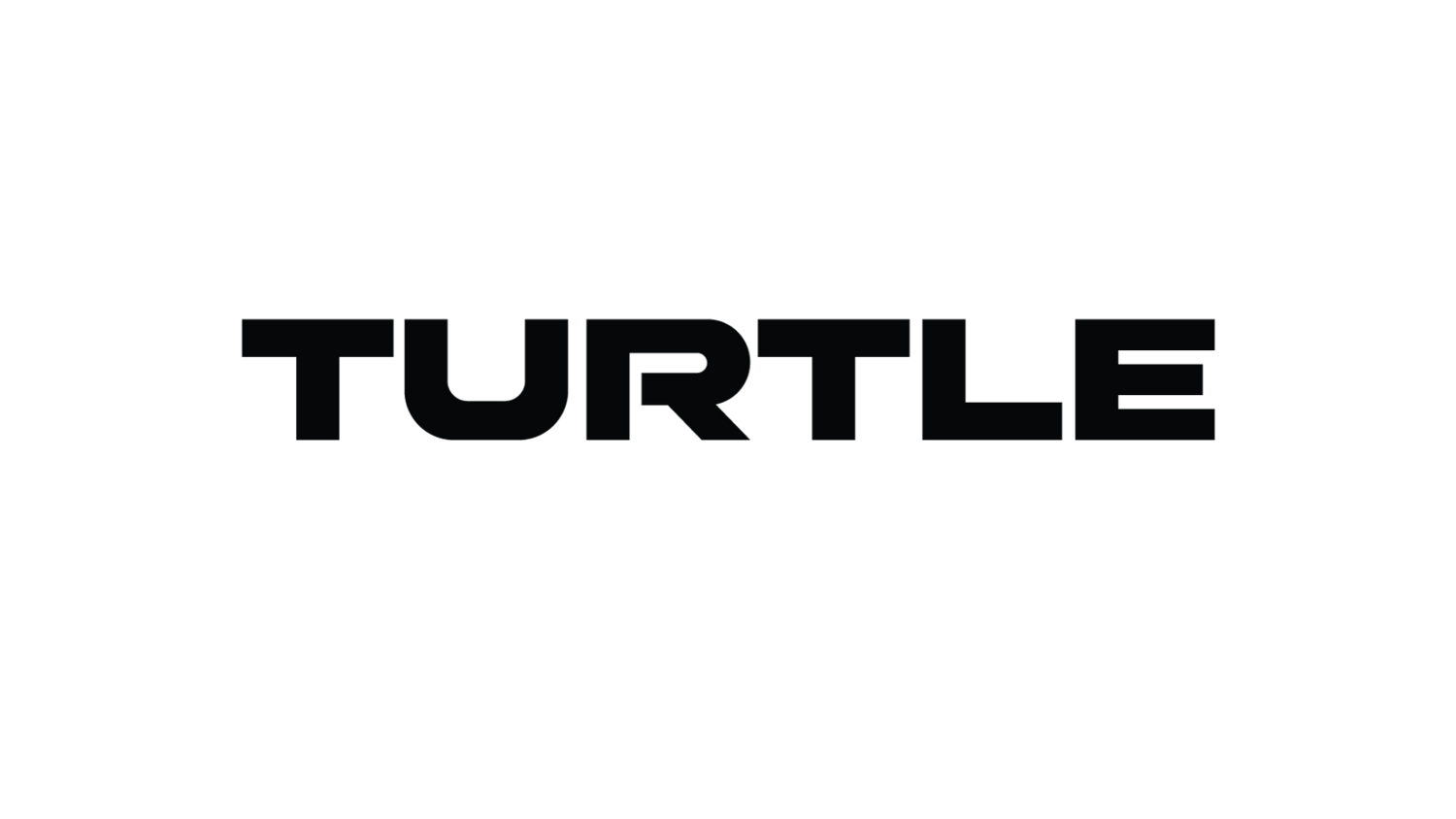 Turtle AV