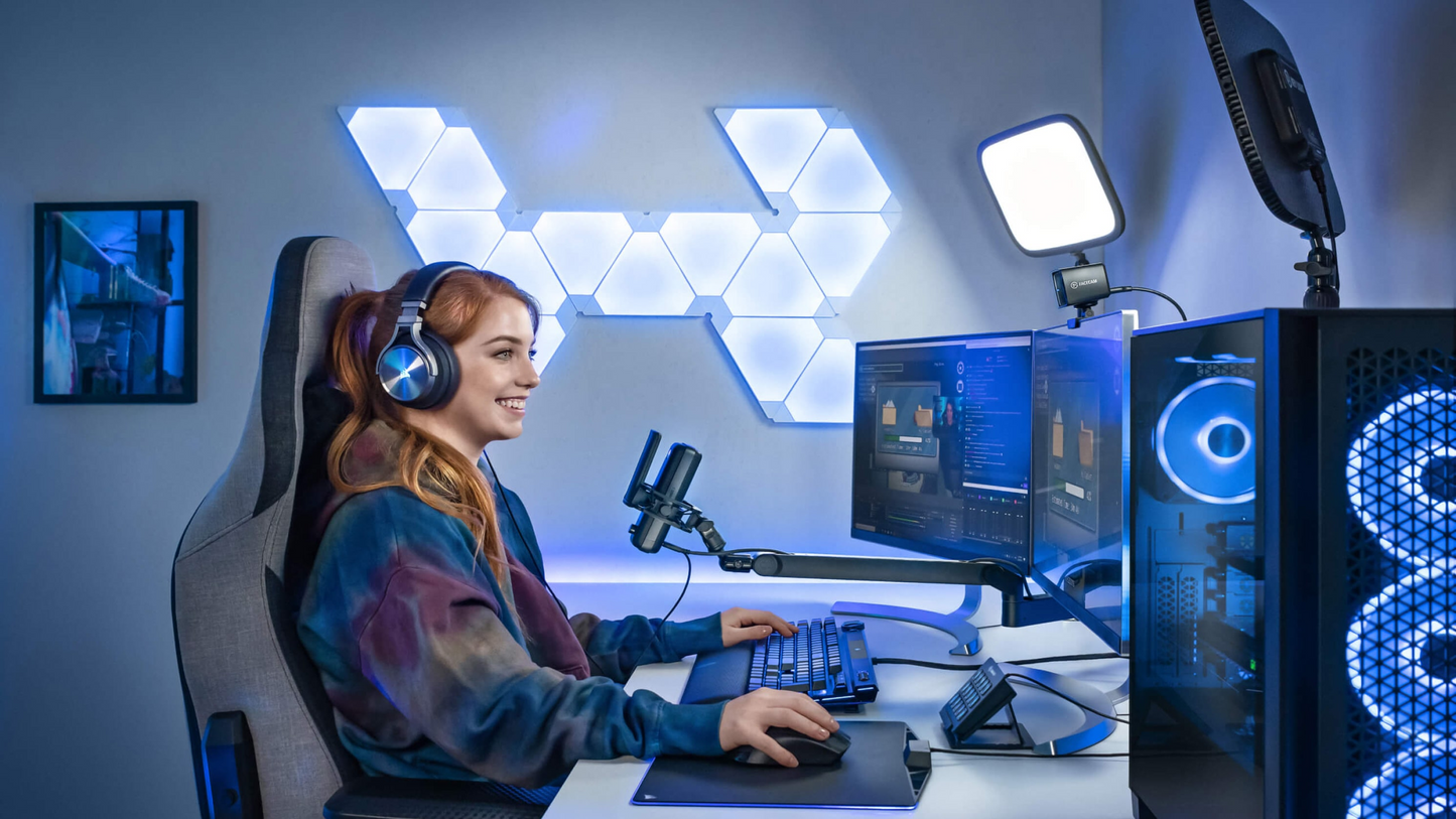 Elgato Wave Mic Arm LP Set Up