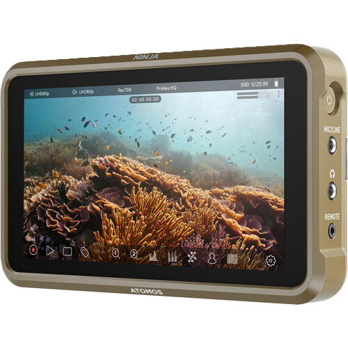 ATOMOS Ninja monitor displaying an underwater scene with coral and fish on a white background