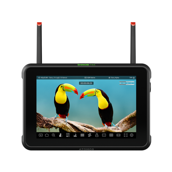 Atomos Shinobi 7 RX 7-inch HDMI & SDI monitor – Videoguys