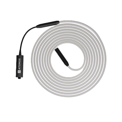 Atomos Sun Dragon LED Strip Rope Light