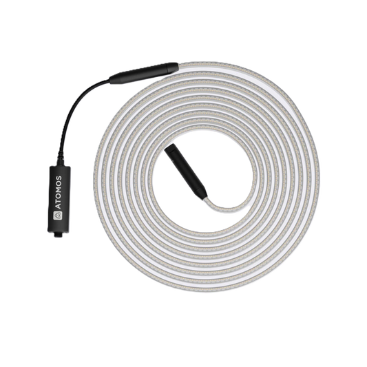 Atomos Sun Dragon LED Strip Rope Light