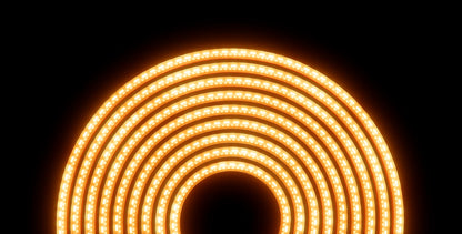 Atomos Sun Dragon 5m Lit