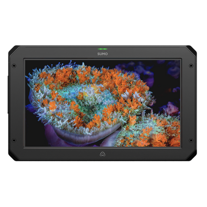 Sumo monitor displaying an underwater scene with colorful coral on a white background