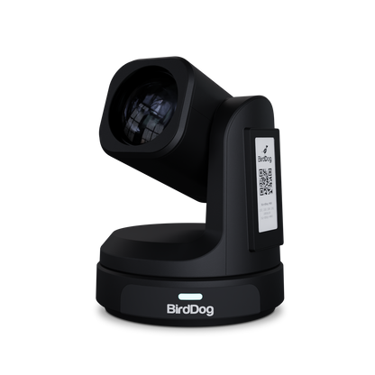 BirdDog Max 12X PTZ Camera (Black)