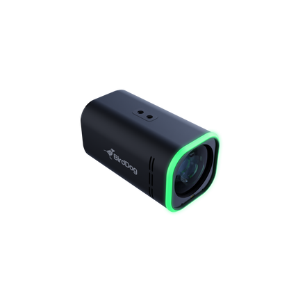 BirdDog MAKI Ultra 4K 12x Zoom Box Camera (Black)