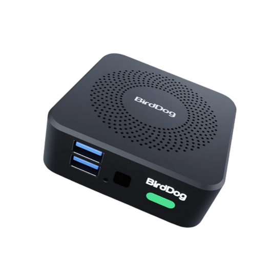 BirdDog Play Pro 4K NDI Player