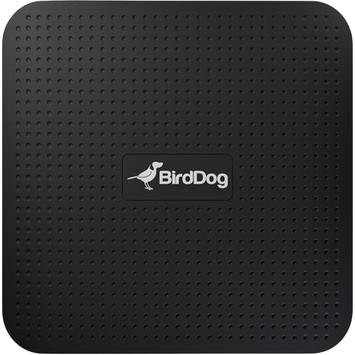 BirdDog PLAY 4K NDI Player