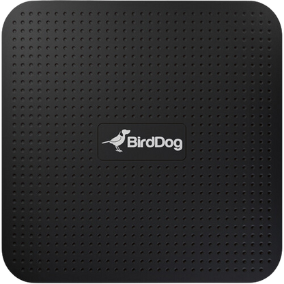 BirdDog PLAY 4K NDI Player