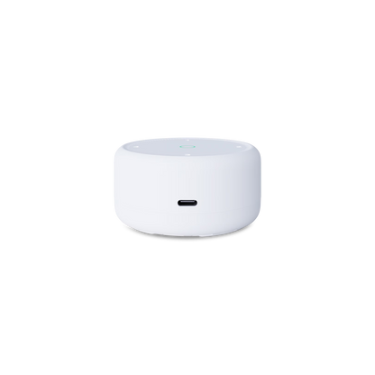 BirdDog Pod NDI to USB USB-C Port