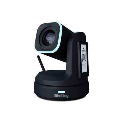 BirdDog X1 30x Optical Zoom Black Angled View