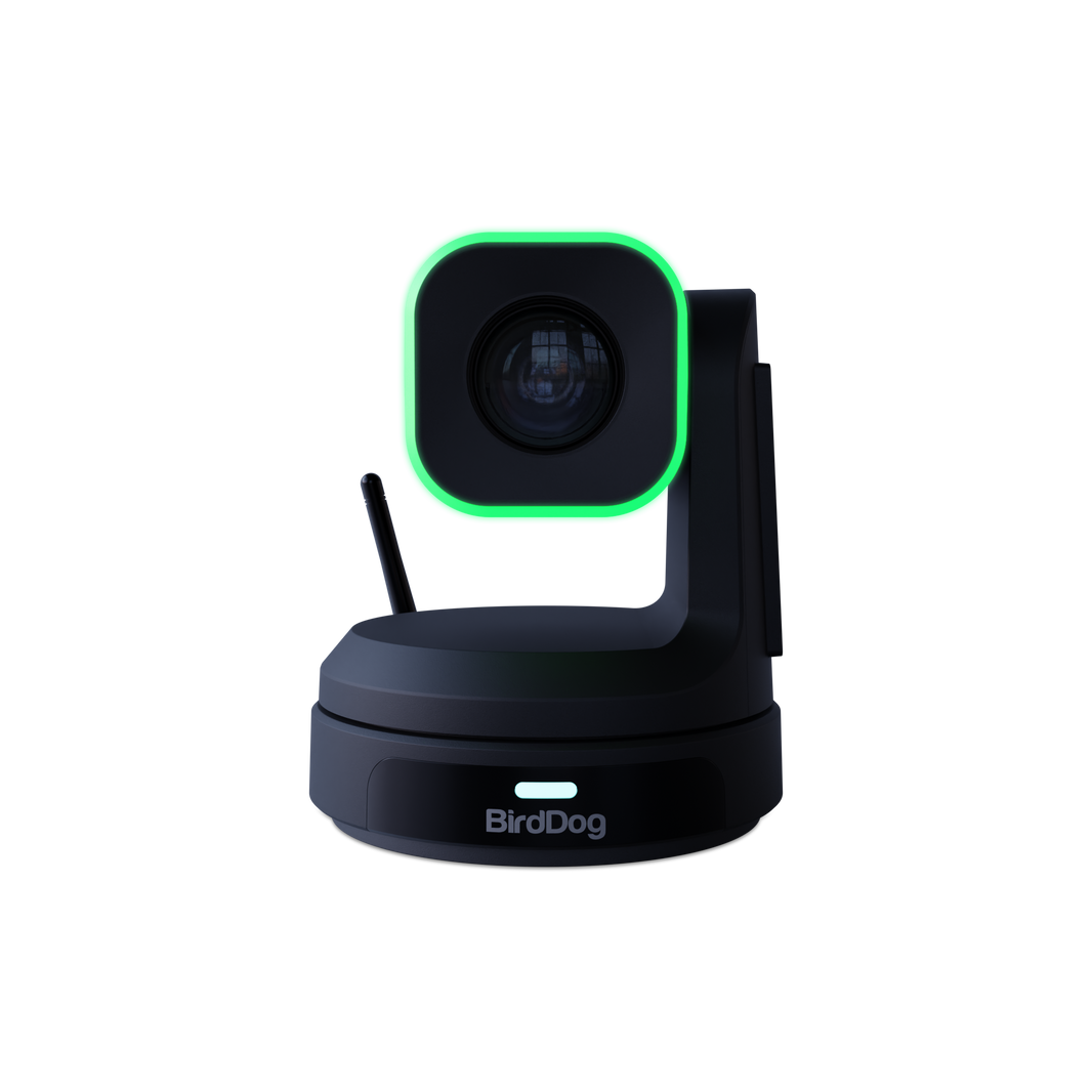 BirdDog NDI & IP Video Cameras for Live Production – Videoguys