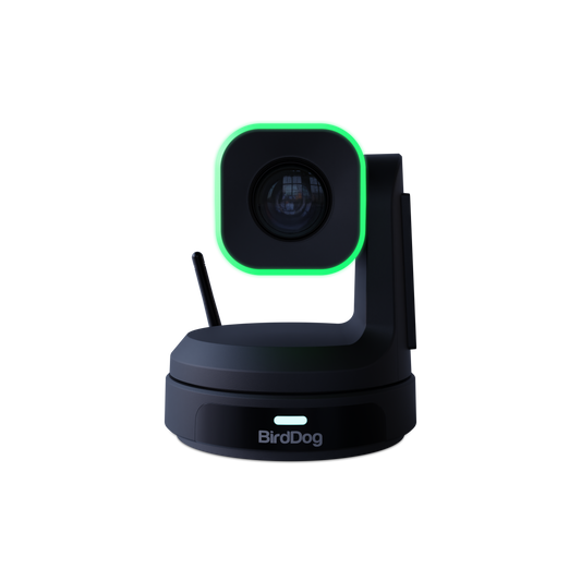 BirdDog HD PTZ Camera (Black)