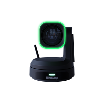 BirdDog X1 Ultra 12x 4K PTZ Camera (Black)