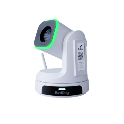 BirdDog X1 20x HD PTZ Camera (White)