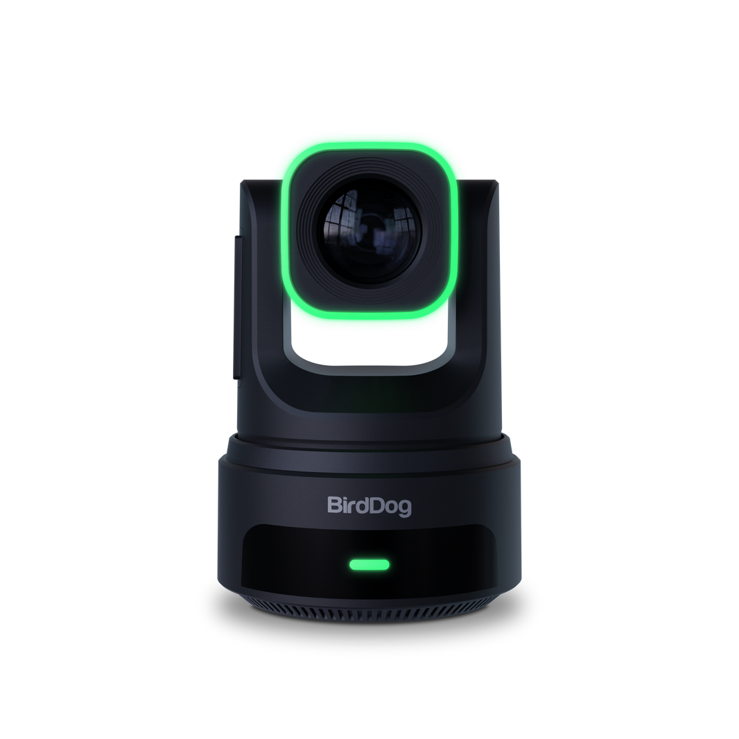 BirdDog NDI & IP Video Cameras for Live Production – Videoguys