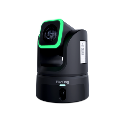 BirdDog XL Ultra - Black