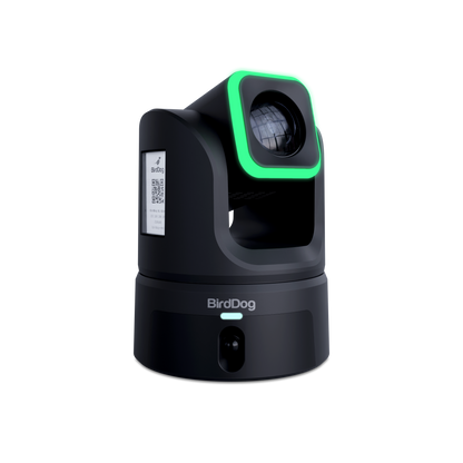 BirdDog XL Ultra - Black