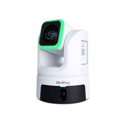 BirdDog XL Ultra Angled