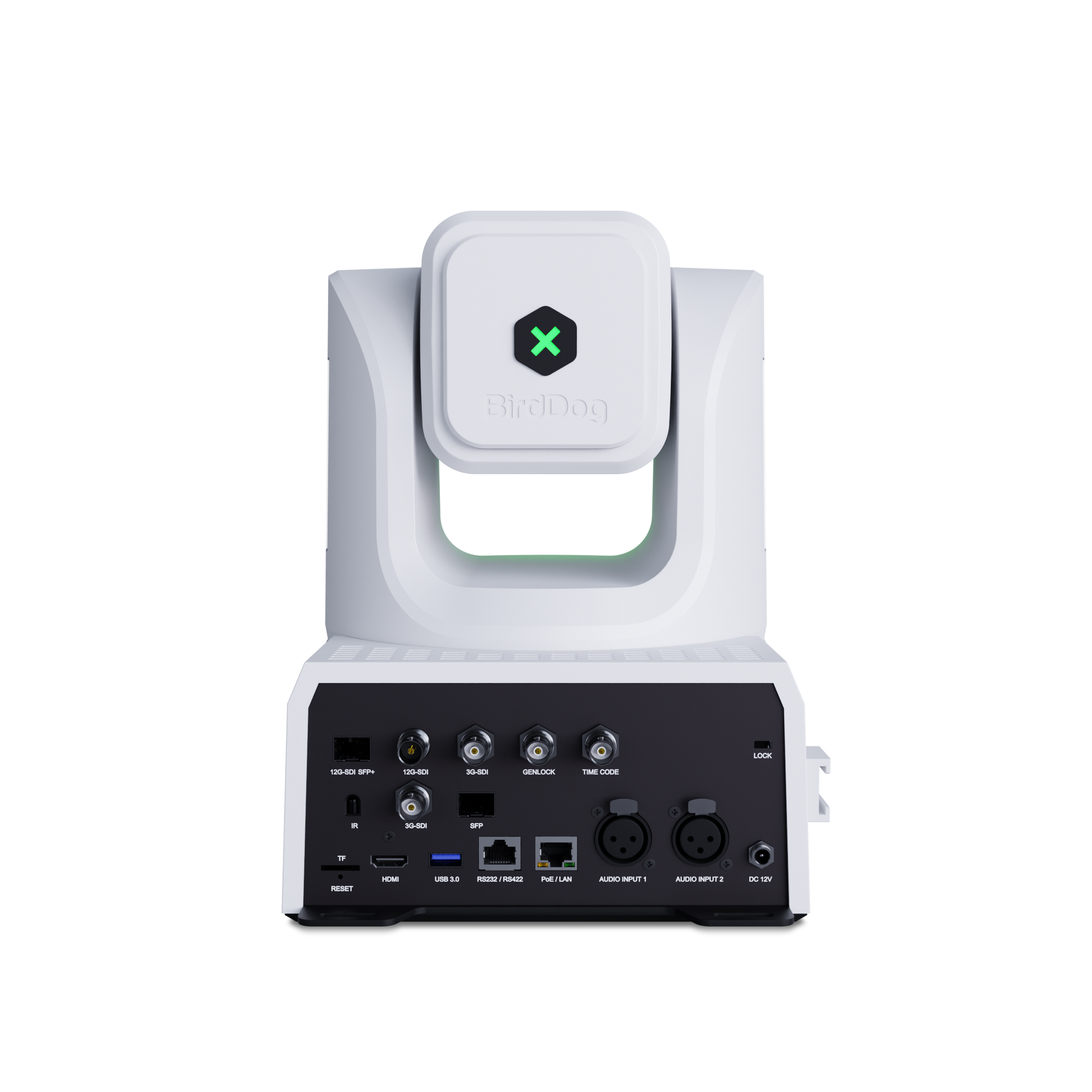 BirdDog XL Ultra Rear