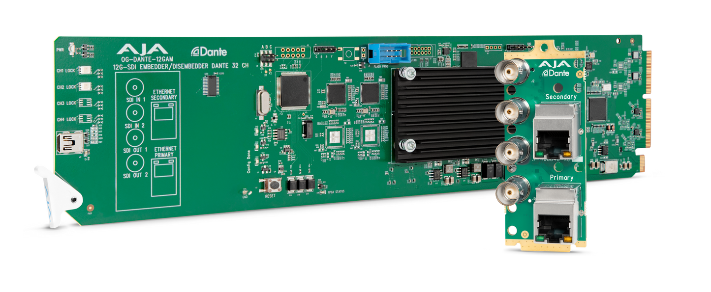 DANTE 12 GM With Secondary Piece